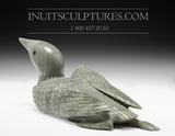 11” Pale Green Loon with Inlay Eyes by Jimmy Iqaluq