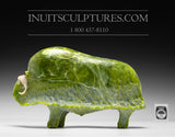 11" Muskox by Joamie Aipeelee *Green Grass*