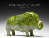 11" Muskox by Joamie Aipeelee *Green Grass*