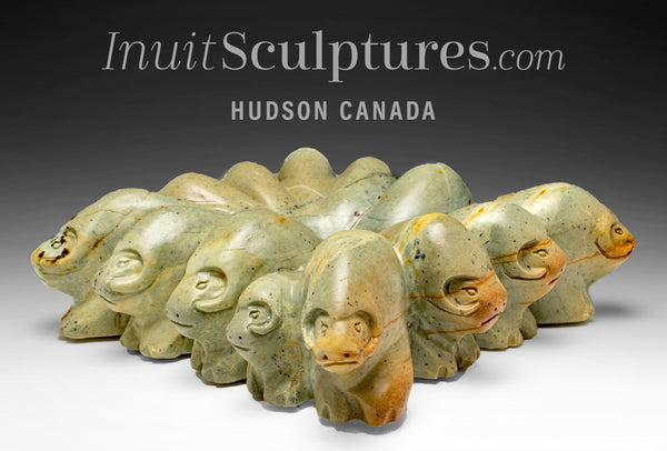 17" SIGNATURE Muskox Circle par Jonasie Faber *Défendre le troupeau*