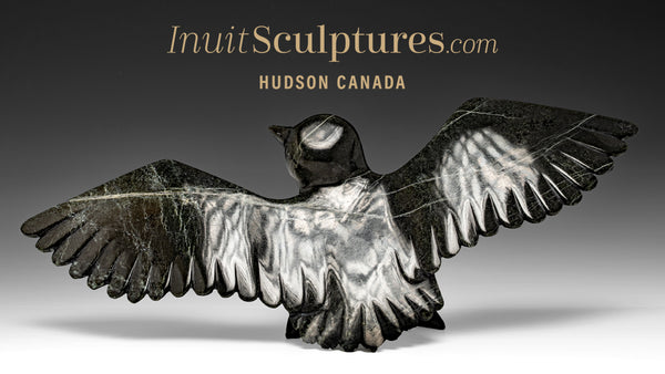 Faucon 16" par Killiktee Killiktee