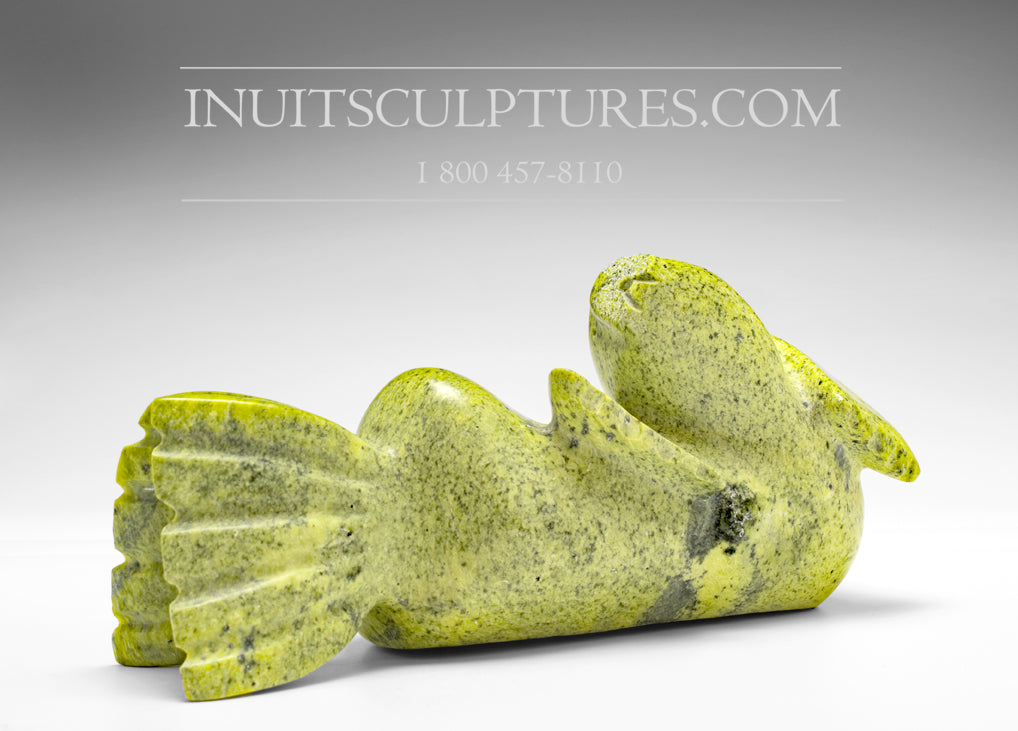 Seal by Koochie Kolola from Kimmirut Inuit Art Inuit Sculptures Art