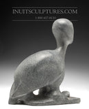 10" Bird Man par Kupapik Ningeocheak *Inspiré par Supercarver Tiktak*