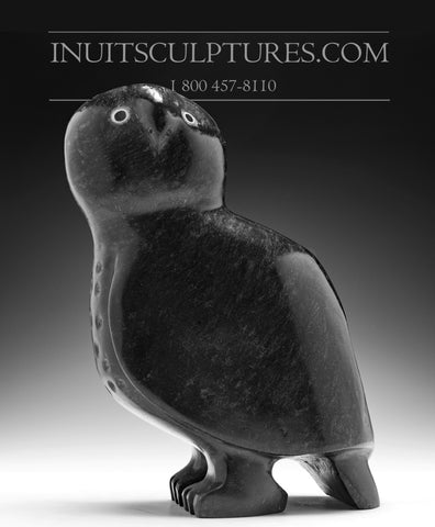 11" Sitting Owl by Kupapik Ningeocheak *Wisdom*