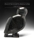 11" Sitting Owl by Kupapik Ningeocheak *Wisdom*