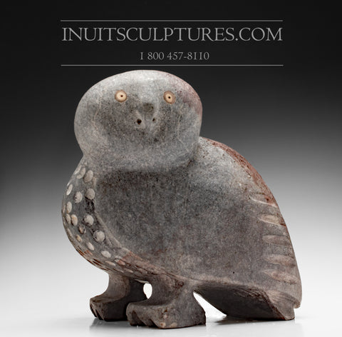 14" - 50 Lbs Grand hibou aux tons violets par Kupapik Ningeocheak