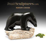 14" Bear and Seal by Kuzy Curley *Friend or Foe?*