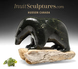 14" Bear and Seal by Kuzy Curley *Friend or Foe?*