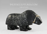 10"  Muskox by Louie Uttaq  Gjoa Haven *Tank*