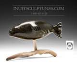 Sceau 8" par Louie Uttaq Gjoa Haven *Ocean Adventurer*