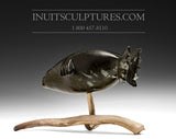 Sceau 8" par Louie Uttaq Gjoa Haven *Ocean Adventurer*