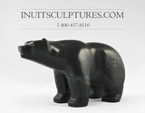 Ours qui marche de 8 pouces par Louie Uttaq