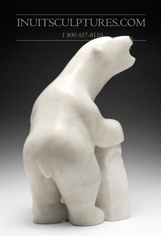 Ours curieux de 18 po par Manasie Akpaliapik, de renommée mondiale
