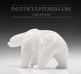 7" Curious Bear by World Famous Manasie Akpaliapik