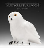 7" White Owl by Famous Manasie Akpaliapik