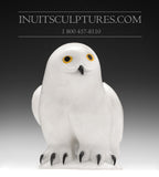 7" White Owl by Famous Manasie Akpaliapik