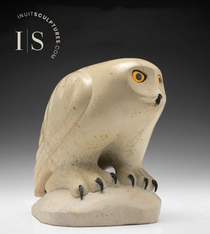 10" SIGNATURE Owl by Master Carver Manasie Akpaliapik *Enchanted Raptor*