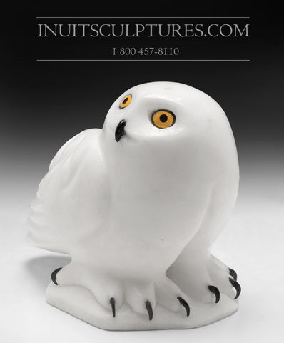 9" White Owl by Famous Manasie Akpaliapik