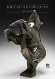 20" Acrobatic Classic Masterpiece Nuna Parr Dancing Bear