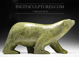 H&R 24" 125 lbs Rare Arching Back Green Walking Bear by Nuna Parr