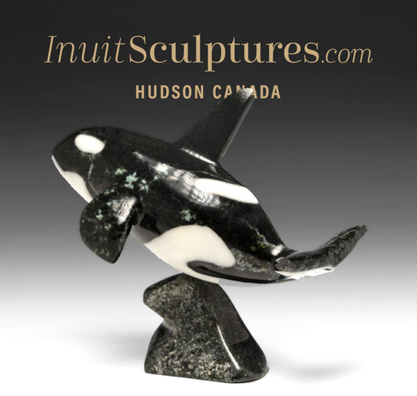 7" SIGNATURE Orca par Johnnysa Mathewsie *Vitesse de la lumière*
