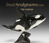 7" SIGNATURE Orca par Johnnysa Mathewsie *Vitesse de la lumière*