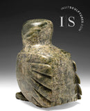 RESERVED** 10" SIGNATURE Owl by Sam Qiatsuk *Izzy*