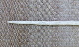 70" Narwhal Tusk Ivory