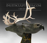 H&amp;R 28" Museum Caribou and Hawk par le célèbre Paul Malliki