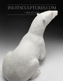 Ours assis de 17 po par le célèbre Paul Malliki