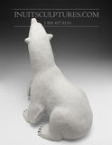 Ours assis de 17 po par le célèbre Paul Malliki