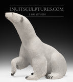 17" Sitting Bear by World Famous Paul Malliki