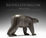 Ours marchant 11" par Peter Alariaq