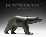 Ours marchant 11" par Peter Alariaq