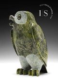 Hibou SIGNATURE 8" par Pitseolak Qimirpik *Irlandais*