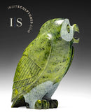 8" SIGNATURE Owl by Pits Qimirpik *Scout*
