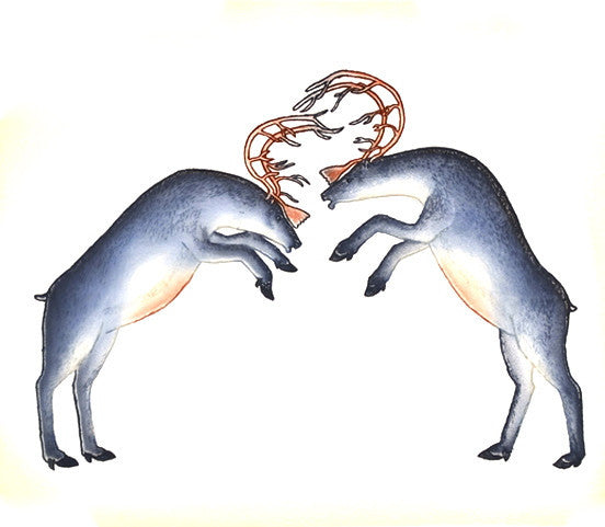2016 RUTTING CARIBOU par Pitseolak Niviaqsi