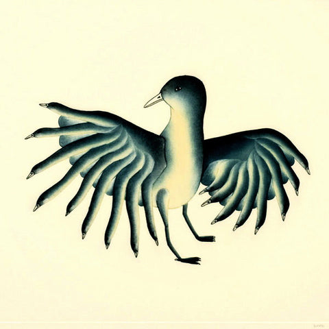 OISEAUX DE RIVIERS 2011 par Qavavau Manumie