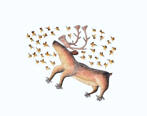 BUZZ D'ÉTÉ 2017 par Cee Pootoogook
