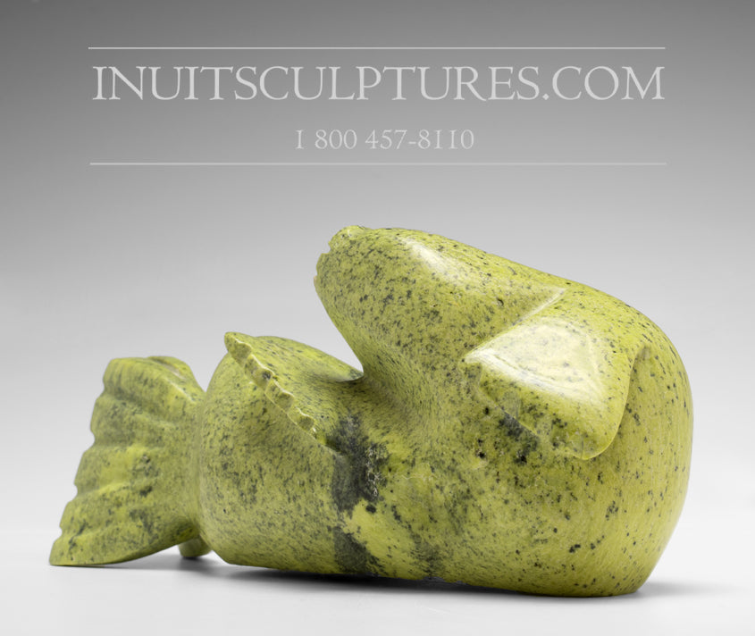 Seal by Koochie Kolola from Kimmirut Inuit Art Inuit Sculptures Art