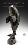 Baleine 14" de Luca Mikkigak