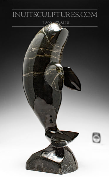 Baleine 14" de Luca Mikkigak