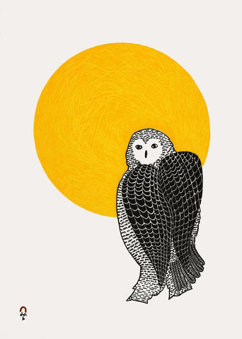2022 Sunlit Owl by PEE ASHEVAK