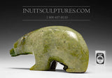 Ours 9" par Lucassie Kolola