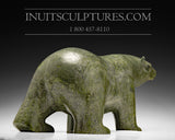 Ours parfumé 19" par Ashevak Adla