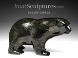Ours qui marche SIGNATURE 18" par Ashevak Adla *Midnight Walk* CHOIX DU CONSERVATEUR