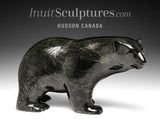 Ours qui marche SIGNATURE 18" par Ashevak Adla *Midnight Walk* CHOIX DU CONSERVATEUR
