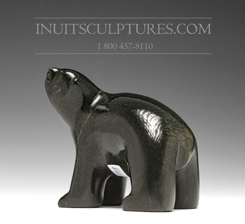 Ours qui marche 5" par Joanassie Takpangai *Inquisitif*