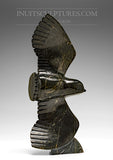 Oiseau faucon 12" par Luca Mikkigak