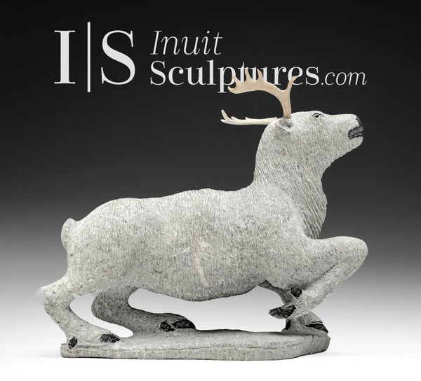 Caribou 11" par Natar Ungaluq *Jeune roi de la toundra*